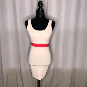 Fitted multi purpose dress